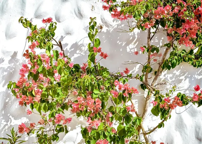 Casablanca Fuerteventura *