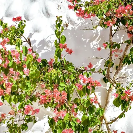 Casablanca Fuerteventura *